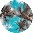 Amrit Kaur Saini Amrit Kaur Saini